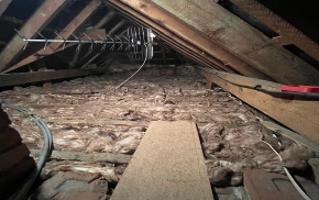 Loft space cleared from pests by Forest Pest Control