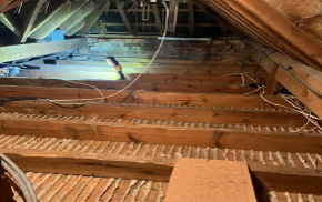 Loft space cleared from pests by Forest Pest Control